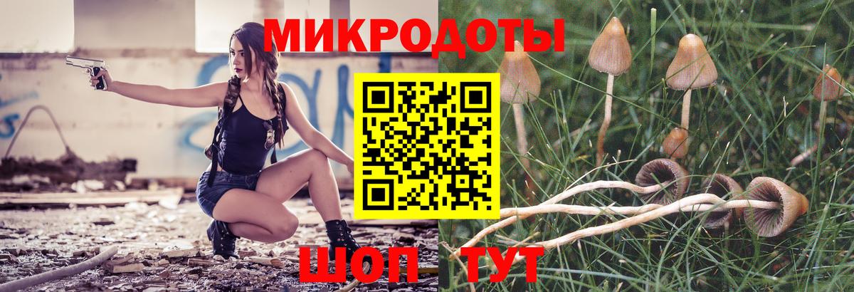 Галлюциногенные грибы мицелий Волгодонск